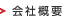 ЊTv